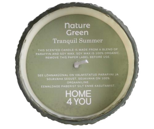 Lõhnaküünal klaasis NATURE GREEN H9cm, Tranquil Summer