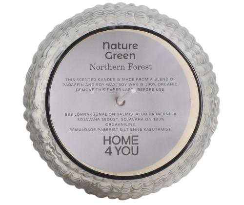 Lõhnaküünal klaasis NATURE GREEN H10,8cm, Northern Forest