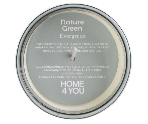 Lõhnaküünal klaasis NATURE GREEN H9,5cm, Evergreen