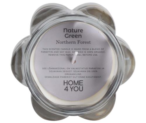Lõhnaküünal klaasis NATURE GREEN H9,2cm, Northern Forest