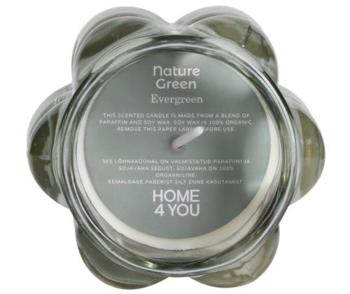 Lõhnaküünal klaasis NATURE GREEN H9,2cm, Evergreen