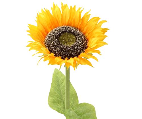 Kunstlill IN GARDEN H78cm, kollane päevalill