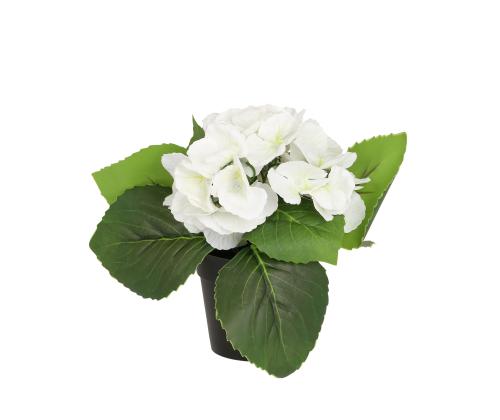 Kunstlill IN GARDEN H18cm, valge hortensia potis
