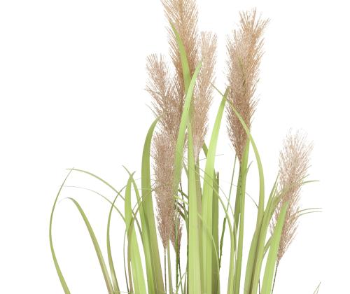 Kunsttaim IN GARDEN H70cm, tumepruun rohukõrred potis