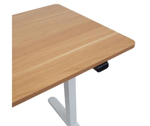 Töölaud ERGO LIGHT 1-mootoriga 120x60cm, valge/tamm