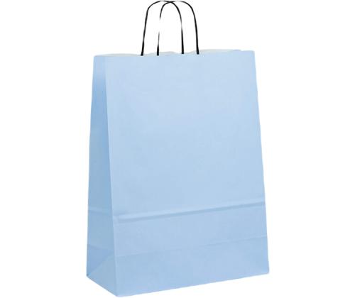 	Paberkott paberpaelsangaga 240x110x310 mm, 100 gsm, helesinisest jõupaberist