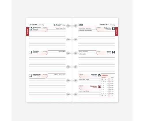 Kalendrisisu MINI Timex Nädal 2914400000