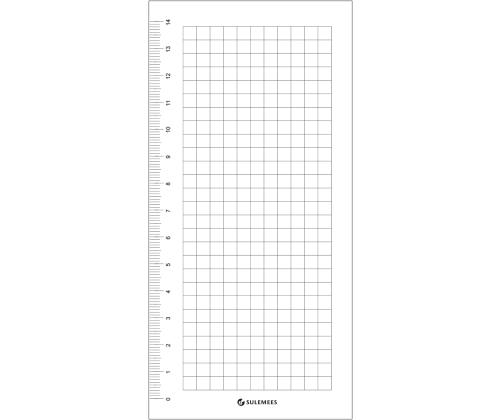 Kalendrisisu Märkmeplokk Minibossile ja Euro+ märkmikule 7x15cm (3tk pakis) 20308