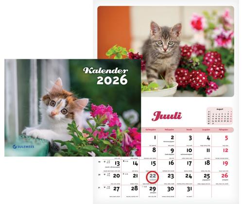 Seinakalender Kiisukalender 00360