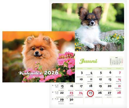 Seinakalender Kutsukalender 00361