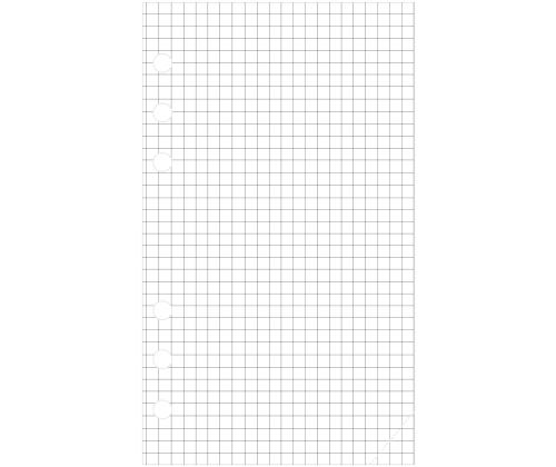 Kalendrisisu Compact A6 ruudulised lehed (30tk) Sulemees 00604