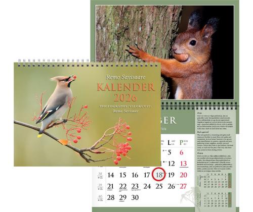 Seinakalender "Remo Savisaar" A3 spiraalköide 00364