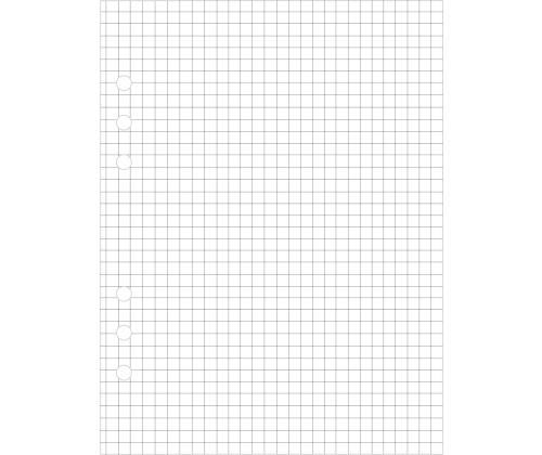 Kalendrisisu Manager A5 ruudulised lehed (70mm) Sulemees 00704