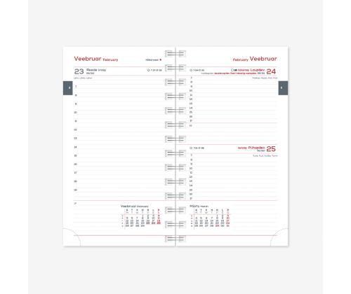 Kalendrisisu Midimärkmik Spirex Päev 2913396000