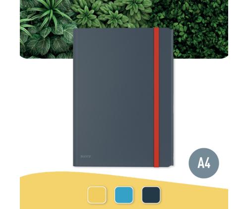 Plastmapp A4 kummiga lisataskuga LEITZ Cosy hall