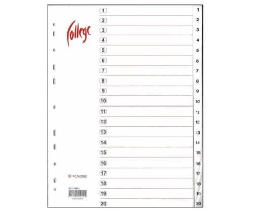 Registri vahelehed A4 1-20 valge plast
