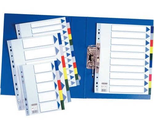 Registri vahelehed ESSELTE Maxi A4+ 10 värvi plast