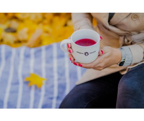 Roheline tee PÕHJALA TEETALU musta sõstraga 2,3g x 50tk