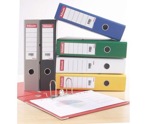 Seljaetikett regisraatorile ESSELTE A450mm 100tk