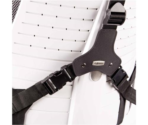 Seljatugi ergonoomiline FELLOWES Professionals seeria