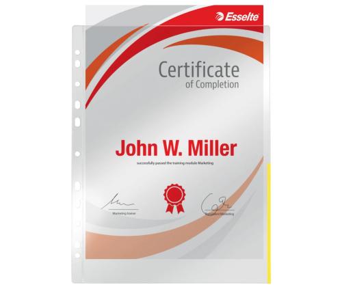 Signaaltasku köidetav A4 ESSELTE 105mic kollane 100 tk