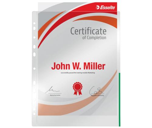 Signaaltasku köidetav A4 ESSELTE 105mic roheline 100 tk