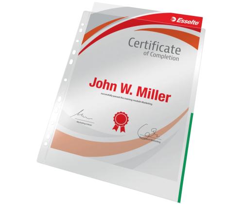  Signaaltasku köidetav A4 ESSELTE 105mic roheline 100 tk