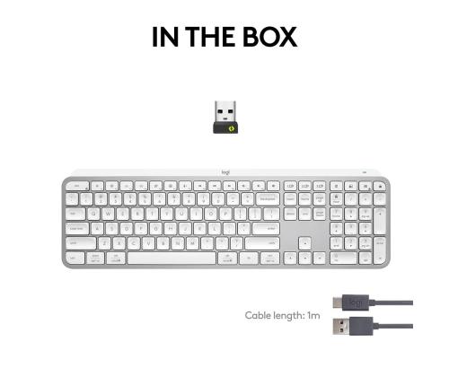 Klaviatuur Logitech MX Keys S SWE (W), hall