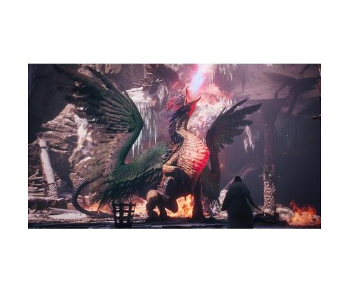 Dragon's Dogma 2: Dark Arisen, PlayStation 5 - Mäng