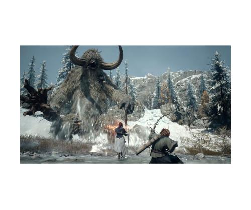 Dragon's Dogma 2: Dark Arisen, Nintendo Switch 2 - Mäng