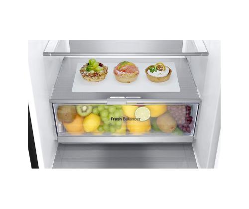 LG, NoFrost, 387 L, 203 cm, must - Külmik