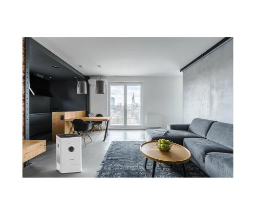 Õhupuhasti-niisutaja, Boneco