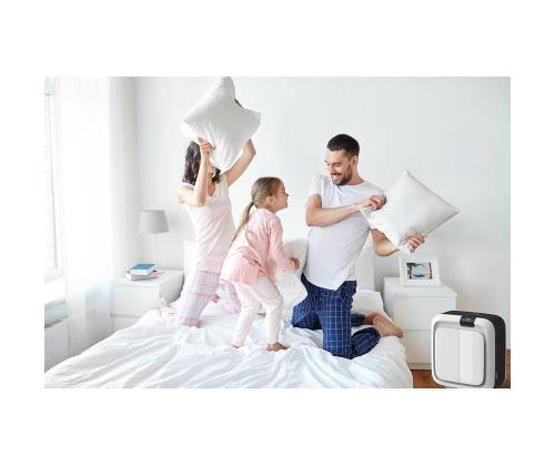 Õhuniisuti-puhasti, Boneco