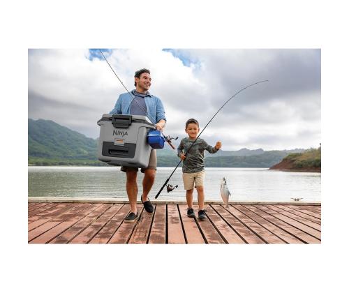 Ninja FrostVault, 28 L, hall - Autokülmik