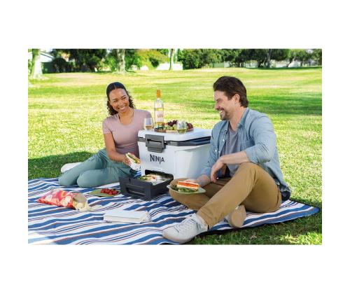 Ninja FrostVault, 28 L, valge - Autokülmik