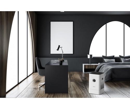 Õhupuhasti-niisutaja, Boneco