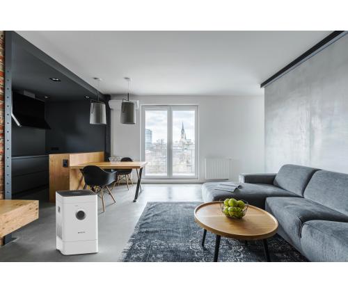 Õhupuhasti-niisutaja, Boneco