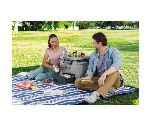 Ninja FrostVault, 28 L, hall - Autokülmik