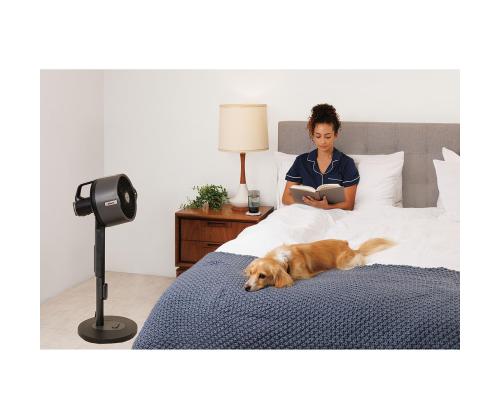 Shark FlexBreeze Pro Mist, hall - Kaasaskantav ventilaator