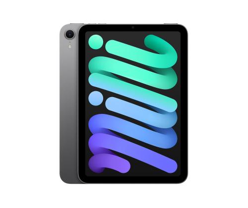 Apple iPad Mini (A17 Pro), 8,3'', 512 GB, WiFi, hall - Tahvelarvuti