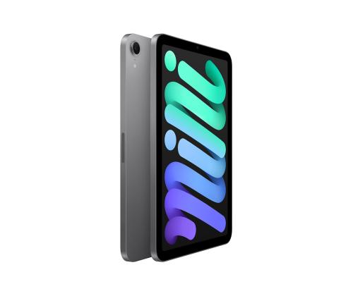 Apple iPad Mini (A17 Pro), 8,3'', 512 GB, WiFi, hall - Tahvelarvuti