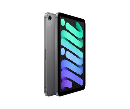Apple iPad Mini (A17 Pro), 8,3'', 512 GB, WiFi + Cellular, hall - Tahvelarvuti