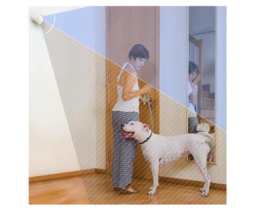 EZVIZ T1C, valge - Liikumisandur