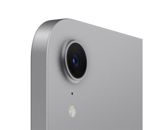 Apple iPad Mini (A17 Pro), 8,3'', 512 GB, WiFi, hall - Tahvelarvuti