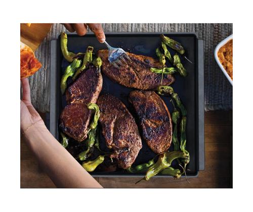 Ninja OO101 Woodfire - Malmpann välipitsaahjule