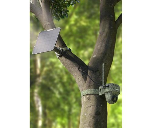 Reolink Go Ranger PT + Solar Panel 2, 8 MP, 4G LTE, akutoide, öörežiim - Rajakaamera koos päiksepaneeliga