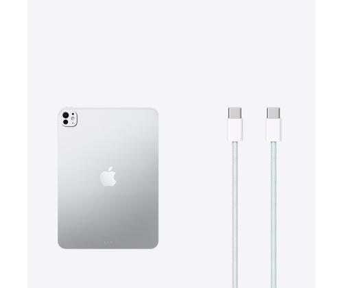 Apple iPad Pro 11", M5 (2025), 1 TB, WiFi, matt, hõbe - Tahvelarvuti