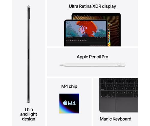 Apple iPad Pro 13”, M4 (2024), 256 GB, läikiv, WiFi + 5G, hõbe - Tahvelarvuti