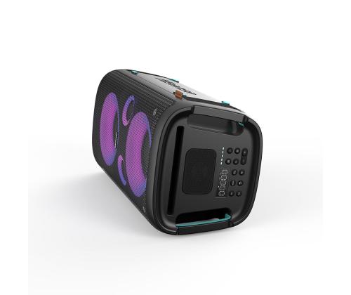 Hisense HP110 Plus Party Rocker One Plus, 2 mikrofoni, must - Peokõlar