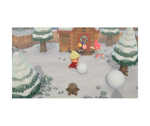 Switch mäng Animal Crossing: New Horizons